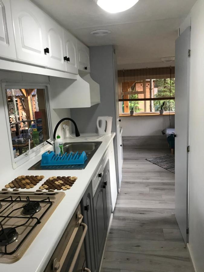 Domek Pod Klonem - Typ Mobilny Biszcza Dış mekan fotoğraf